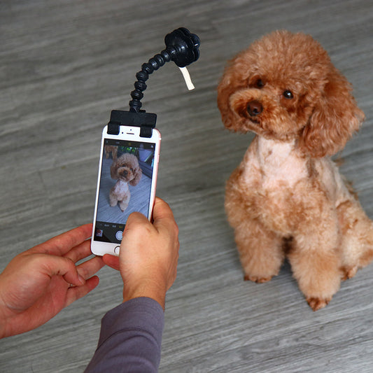 Pet Selfie Stick Pet Supplies Toys Pet Selfie Artifact