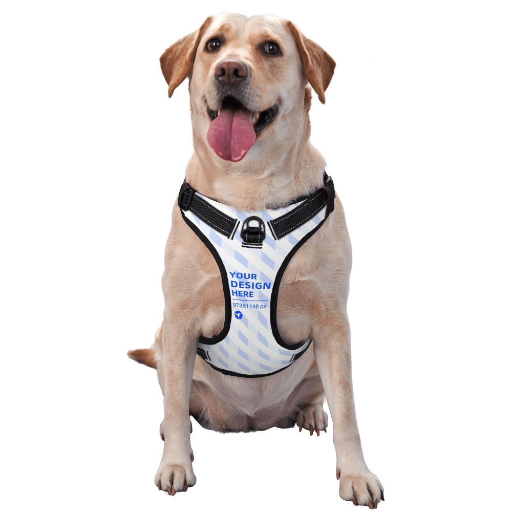 Durable Oxford Cloth Pet Leash Vest