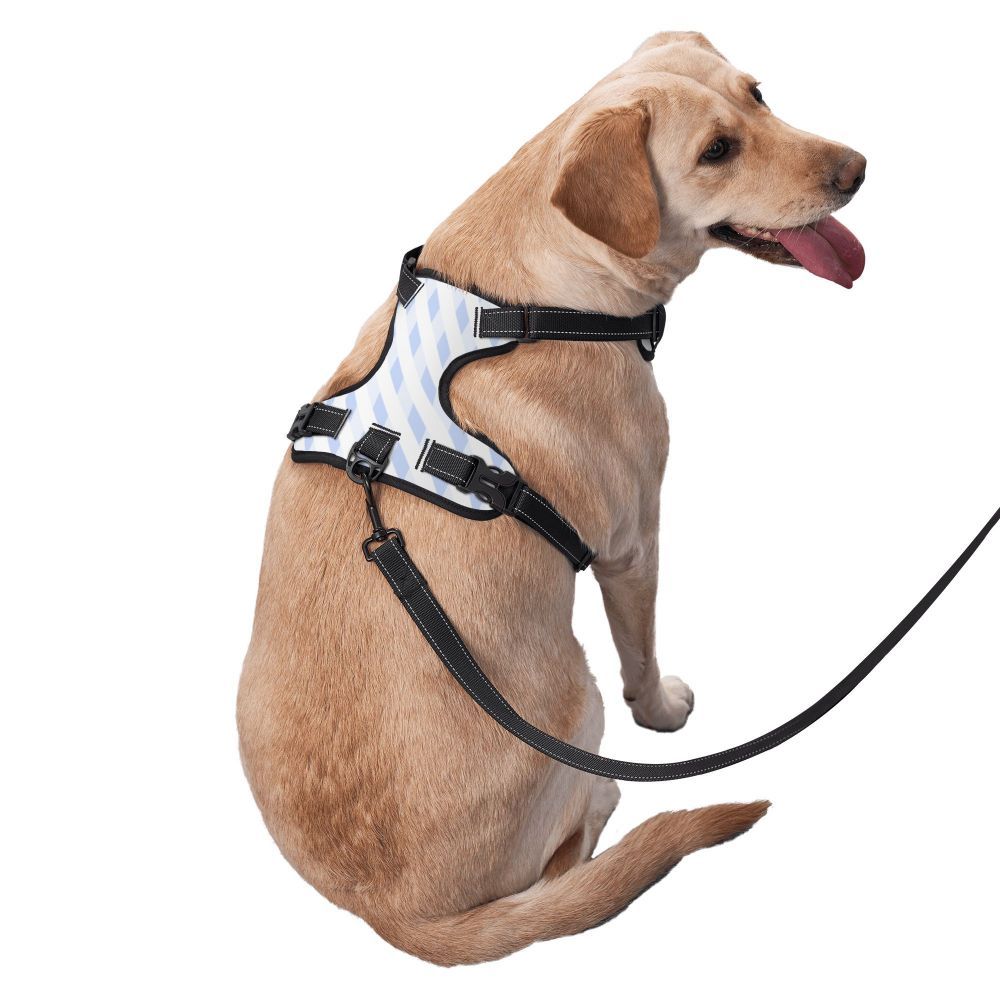 Durable Oxford Cloth Pet Leash Vest