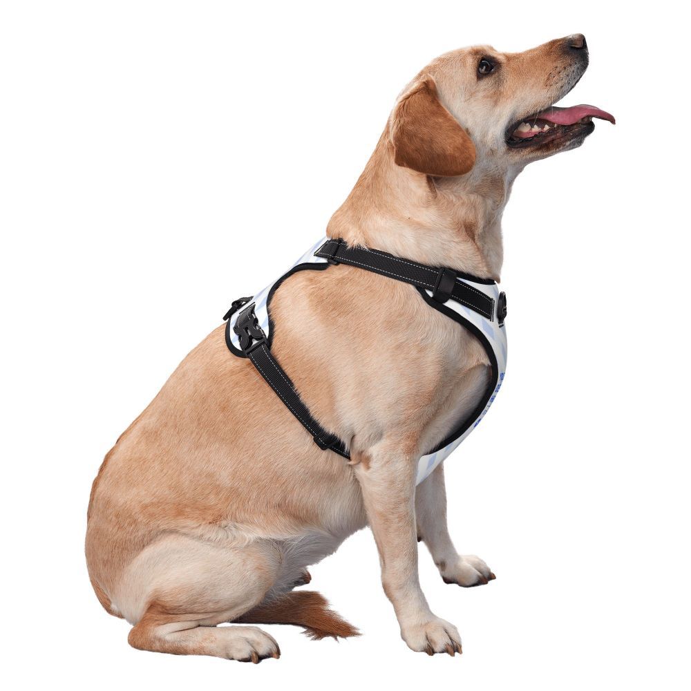 Durable Oxford Cloth Pet Leash Vest