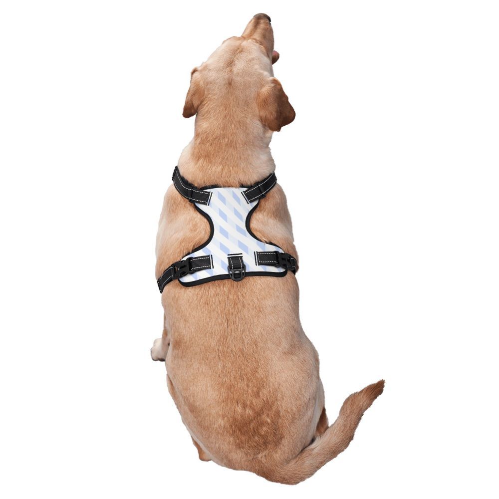 Durable Oxford Cloth Pet Leash Vest